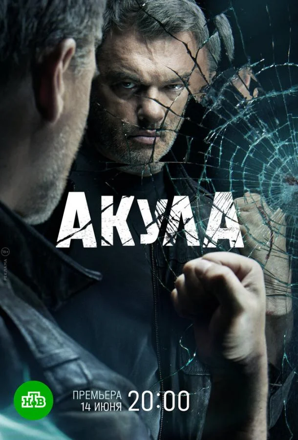 Смотреть сериал  Акула (2021) бесплатно